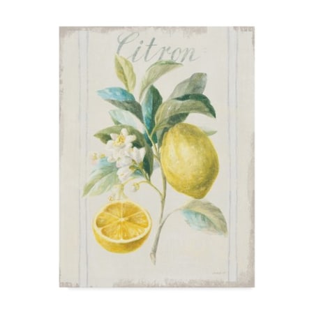 Danhui Nai 'Floursack Lemon Iv V2' Canvas Art,14x19